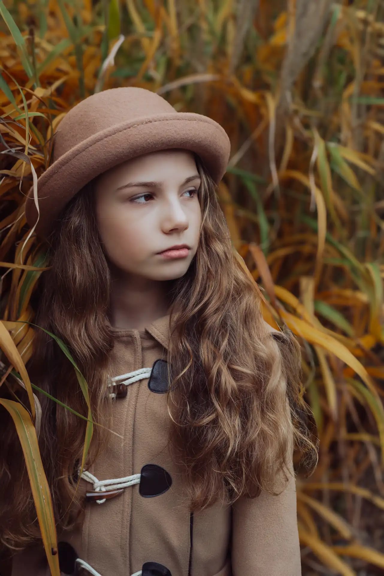 Autumn Whispers