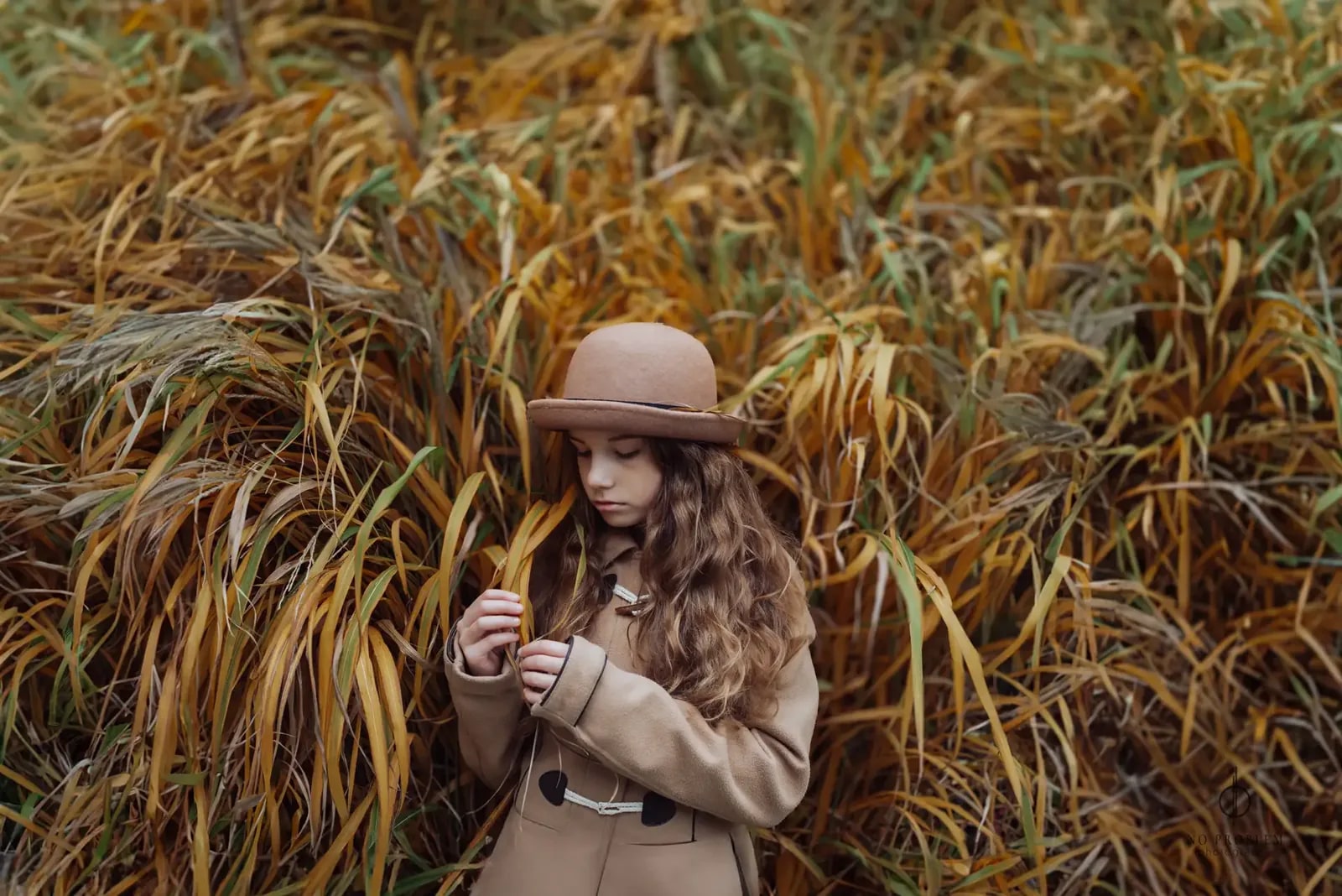 Autumn Whispers