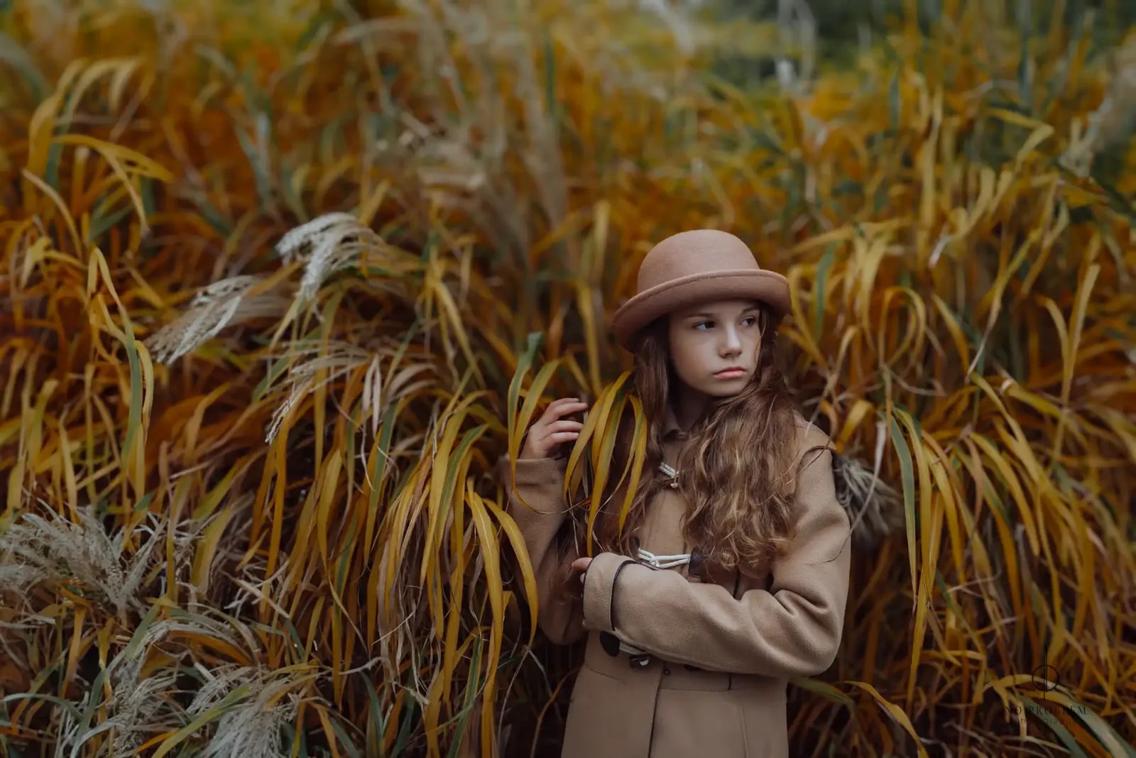 Autumn Whispers