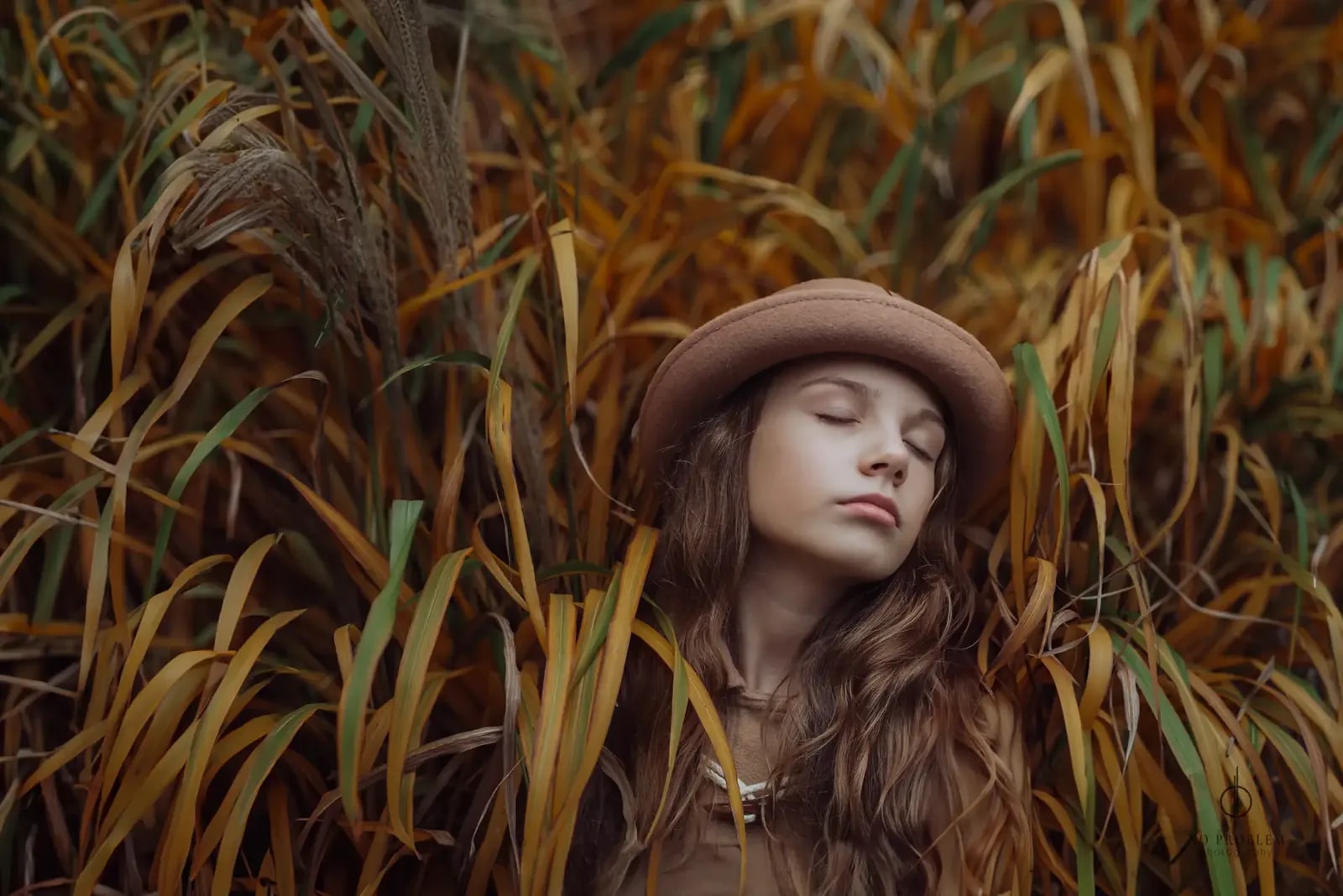 Autumn Whispers
