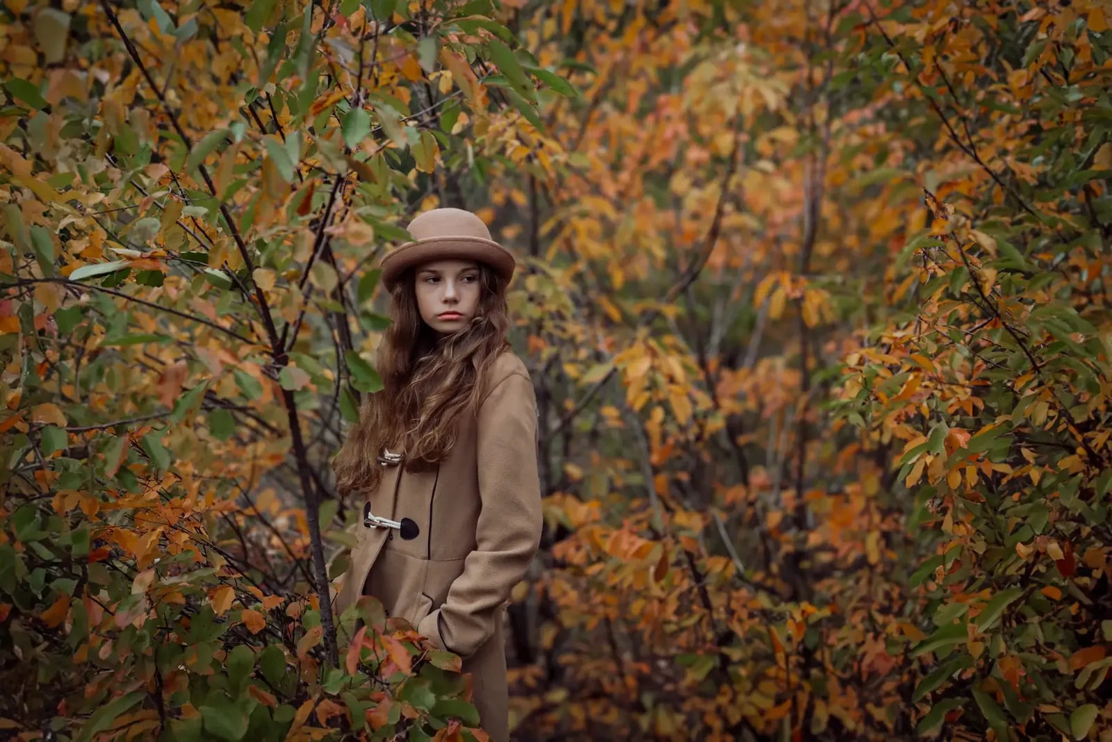 Autumn Whispers